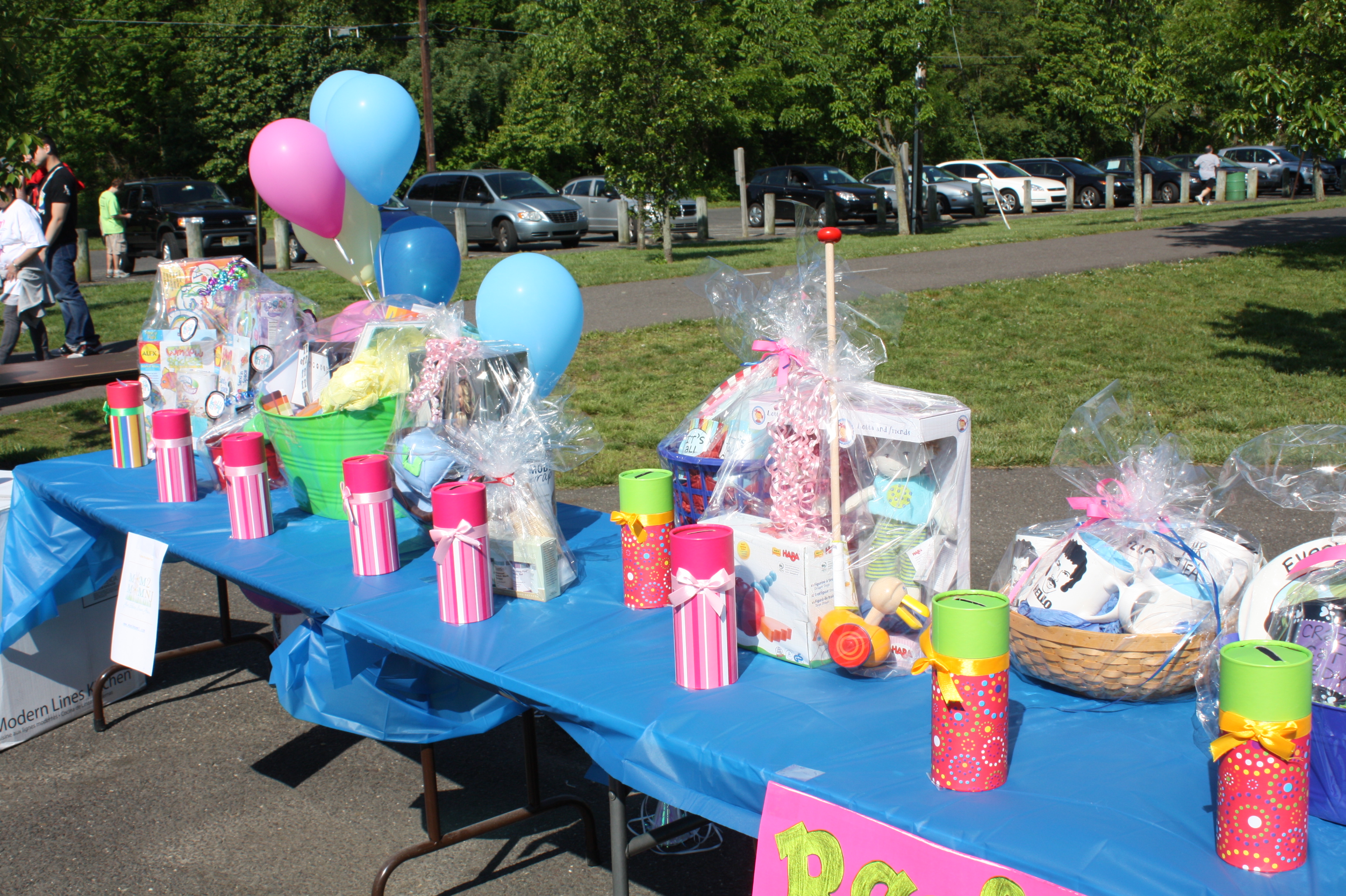 Promise Walk for Preeclampsia 2